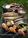 BBQ��̾�Ų�����