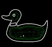 GREEN DUCKS