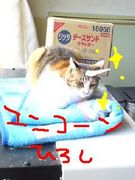 ǭ�Ҥ�������������