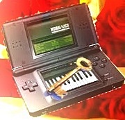 DS-�����