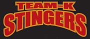 TEAM-K stingers