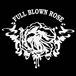 Full Blown Rose