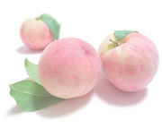 ���ڤʲ���