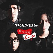 新生 WANDS 〜第5期〜