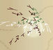 �ƥ饹ICHI220