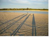 ����ȯ�����ܤ��⤭������