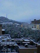 ������Хȥ顼����ʤ�ߤ���