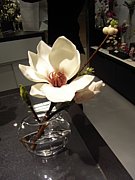 ����Ҳ��2007ǯ�ʳؼԥ��ߥ�