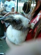 公開！！ダイエット！！！