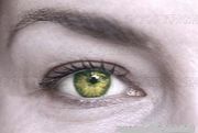 瞳が緑色