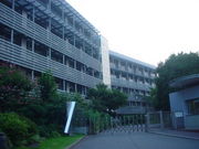 桐光学園　２００２年卒業生