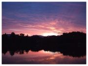 集え♡女の子バサー