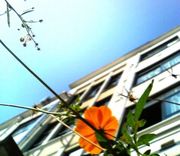 ����⹻��������ǯ��´����