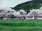 桜井市立初瀬小学校