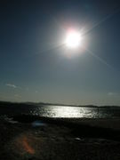 ��ʡ��̿�