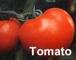 トマト大好き！