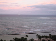 PARADISE AO ����ͤγ��βȡ�