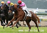 ��������ץ��