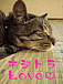 �����ȥ�LOVE♡