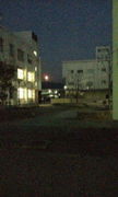 ��Ĺ���̹⹻'07´��