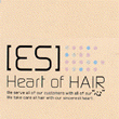 [ES] Heart of hair