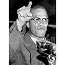 �������뿷�Ҳ�ͤβ��������Ʋ�