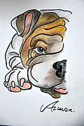 ץסBULLDOG繥