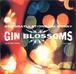 GIN BLOSSOMS