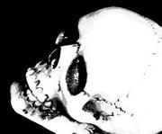 ܿʹ
