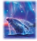 �ڤ������ޤ�MIXI���ݡ���