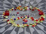 本気の世界平和