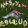 ڤUO