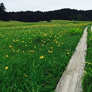 �����ޤ�륫�ե���