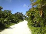 ���ʤݤ��������