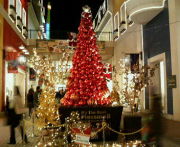 ♡�ۡ�����������♡