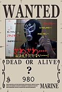 ʤ䤫䡪뤾
