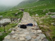 �����ʤ���ݤ�����