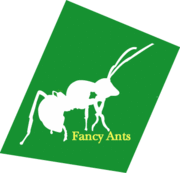 Fancy Ants