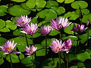 A級グルメB級グルメ　金返せ(泣)