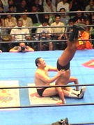 �ώ̎������̎��Ў؎����ײ�