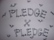 Pledge×Pledge