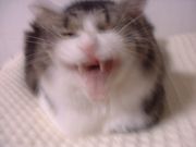 㥦繥