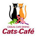 Cats-Cafe