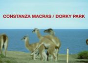 Constanza Macras/dorkypark
