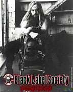 Zakk Wylde