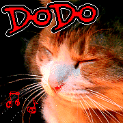 DODOɥ