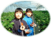 �Ѹ���������