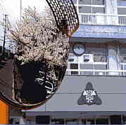 �濷�Ĺ����ع��ʺ߹�����