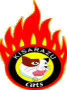 �ڹ��ť���åİ�♡