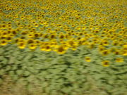 �ȥ륳20060707